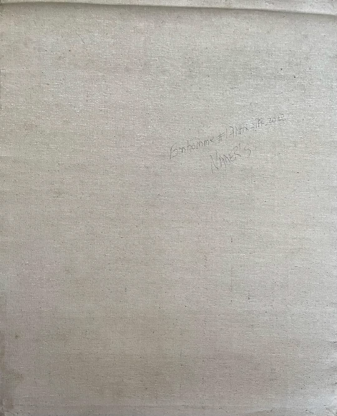 Albott Bonhomme 20"x16" Birds Over Cascade 2022 Acrylic on Canvas Painting #17MFN