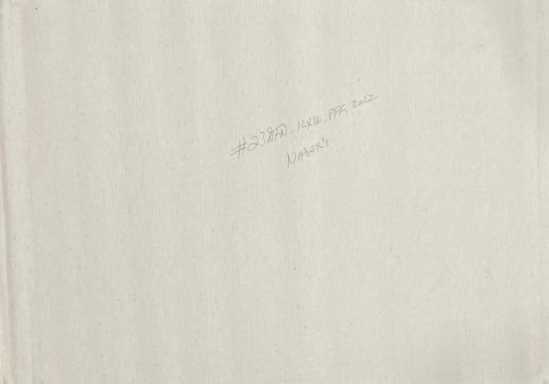 Albott Bonhomme 12"x16" Two Birds Perched On Branches, Mountains, & River, Cascade 2022 Acrylic on Canvas Painting #23MFN