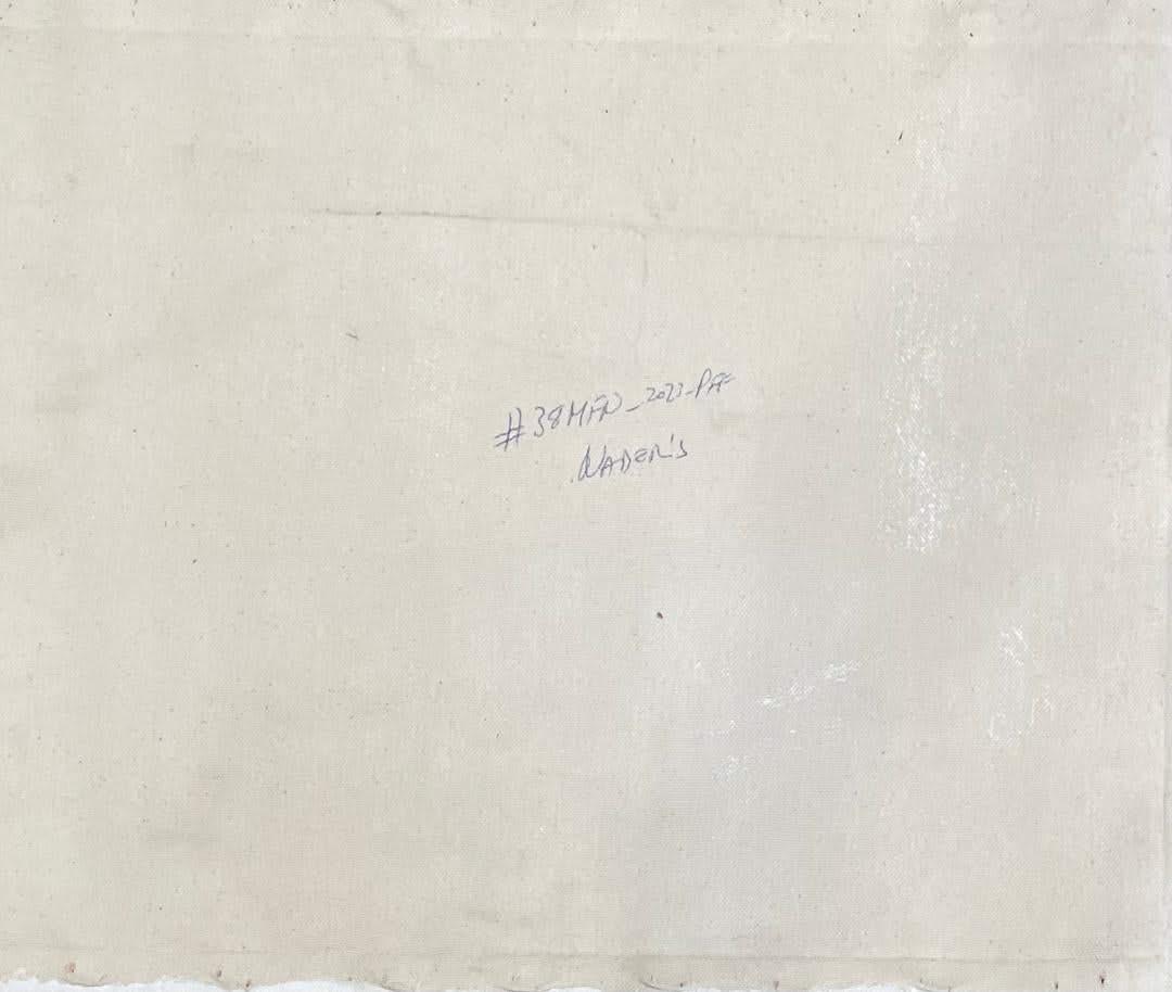 Albott Bonhomme 12"x16" Deux oiseaux sur cascade 2023 Acrylique sur toile Peinture #38MFN