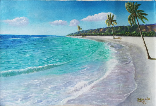 Demesmin Cabrini 16"x24" The Tortuga Bay Beach  2029 Acrylic on Canvas #1JN-HA