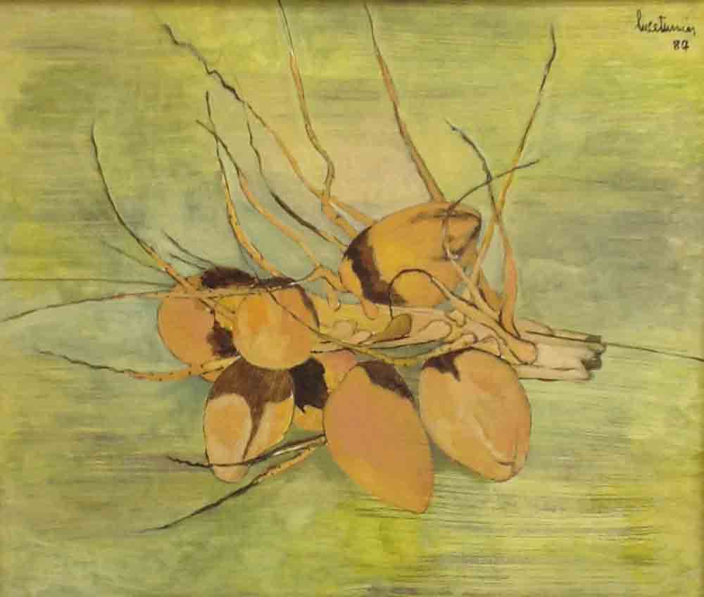 Luce Turnier 30"x36" Coconuts 1987 Acrylic on Board #1206GN-HA