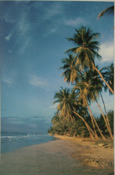 Haitian Postcard: Beach Sunset near Marigot (South Shore of Haiti)