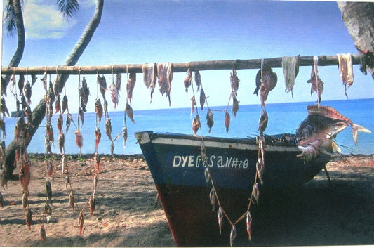 Carte postale haïtienne : Vue typique d'un petit village de pêcheurs le long de la côte d'Haïti près de Dame Marie (Rive Sud)